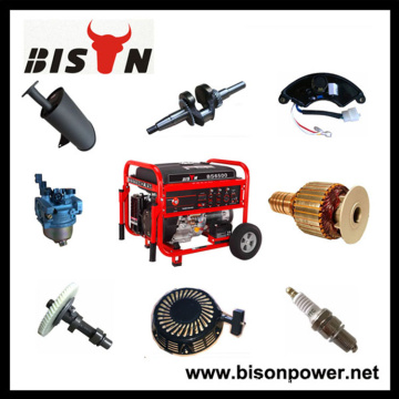 BISON China Zhejiang OEM with Manufacturer Universal Generator Parts